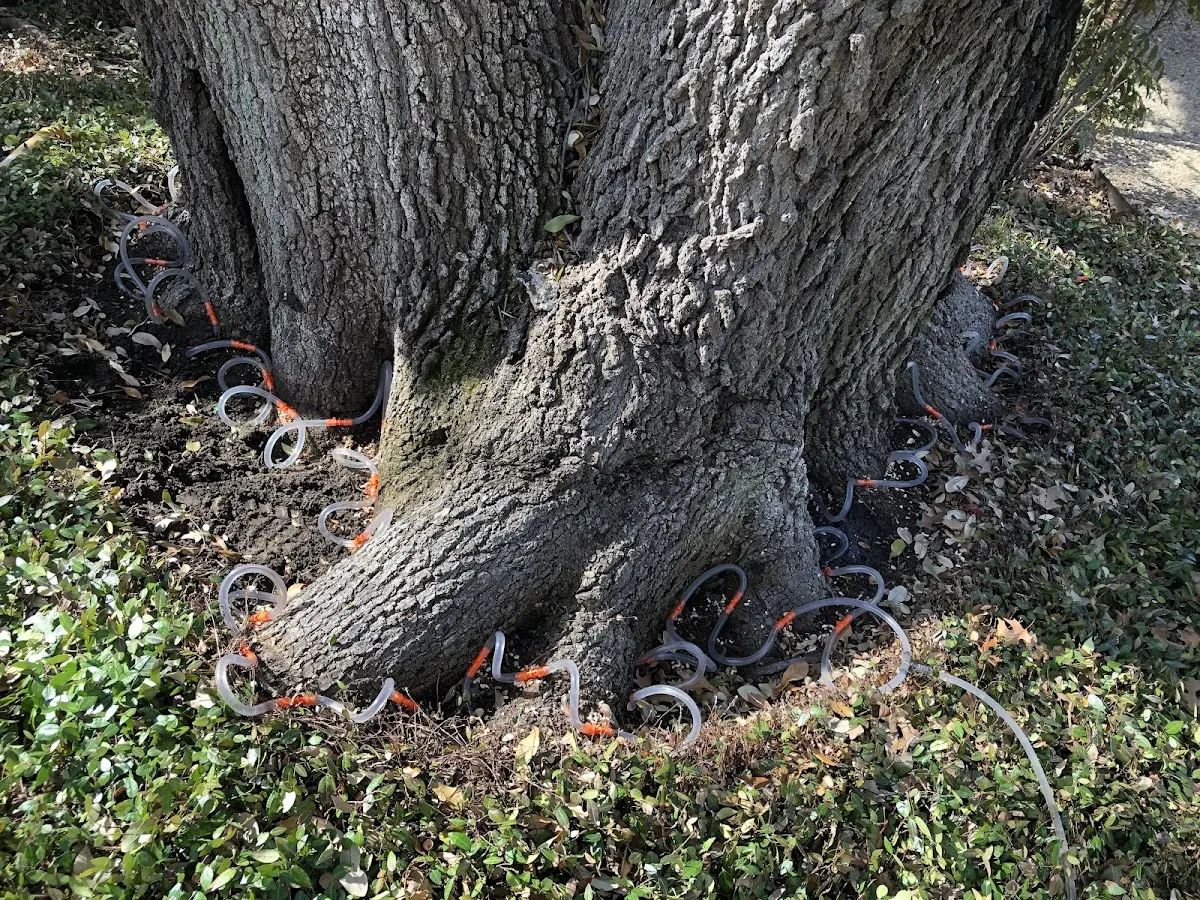 Detailed Shrub and Hedge Trimming job site in Rhoadesville